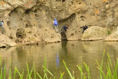 DSC_6340 (Large).JPG